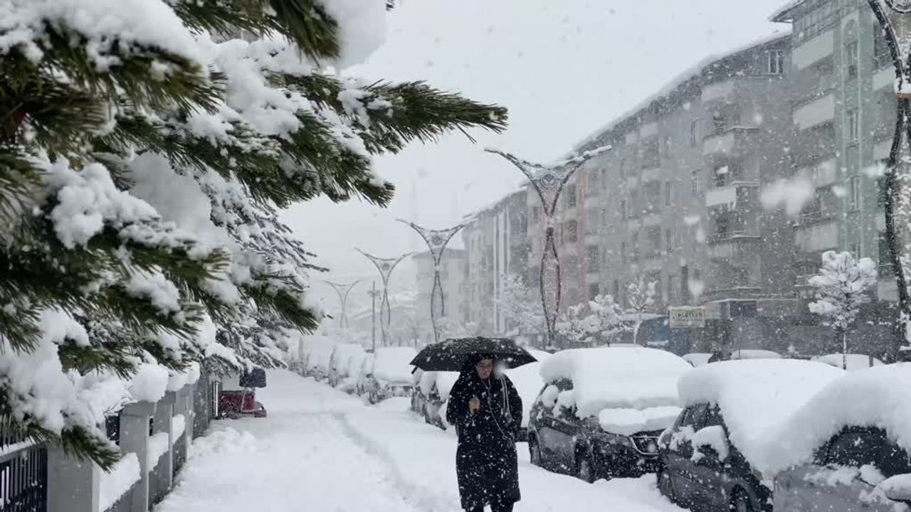 Bitlis'te  kar yağışı nedeniyle 288 köy yolu ulaşıma kapandı