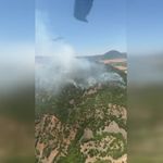 Karakoçan'da ormanlık alanda çıkan yangın söndürüldü