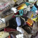 Bir Evden 5 Kamyon Çöp Çıkarıldı