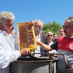 Bal hasadı şenlikle başladı