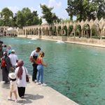 Şanlıurfa’da Balıklıgöl Hareketliliği: Ziyaretçiler Tarihi Alana Akın Etti