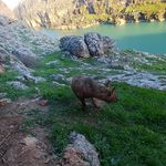 Yaban hayatının bozulmasına yol açacak davranışlardan kaçınılması uyarısı