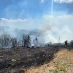 Erdek ilçesinde makilik ve zeytinlik alanda yangın çıktı