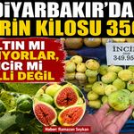 Diyarbakır’da incirin kilosu 350 TL