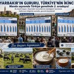 Diyarbakır Manda Sayısında Türkiye Birincisi Olmak Üzere