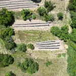 OGM’den Orman Köylülerine 3,3 Milyar Liralık Destek Paketi