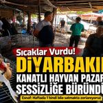Sıcak Hava Diyarbakır’daki Kanatlı Hayvan Pazarını Vurdu