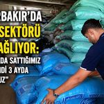 Diyarbakır’da Yem Sektörü Kan Ağlıyor: “1 Haftada Sattığımız Yemi Şimdi 3 Ayda Satıyoruz”