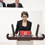 Diyarbakır’da kadın şiddeti ve şüpheli ölümler Meclis gündeminde