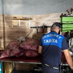 500 kilogram et ve ciğer imha edildi