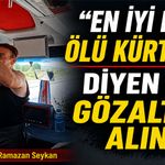 “En iyi Kürt ölü Kürt’tür” diyen kişi gözaltına alındı