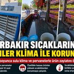 Diyarbakır Sıcaklarında Esnaf Ürünlerini Klima ve Pervanelerle Koruyor
