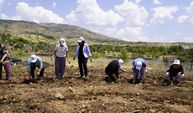 Kulp’ta kadınlar bostan için toprağa emek verdi