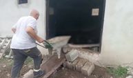 Ağıla giren ayı 143 koyunu telef etti