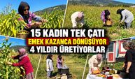 “Seçilen değil seçen olmak istiyoruz”: 15 kadının üretim hikâyesi