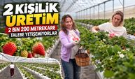 25 yıllık dostluk, yaklaşık 15 ton çilek: İki kadının sera hikâyesi