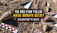 66 milyon yıllık fosil bulundu: Külhöyük’e nasıl geldi?