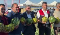 40 dekarda 100-120 ton ürün: Ağrı'da çiftçinin 3 yıllık emeği