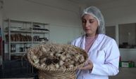 30 tonluk üretimin ardından yeni ürün: Taşköprü sarımsağından siyah püre