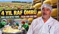 Kars gravyerinin 4 yıllık sırrı yaylalarda saklı