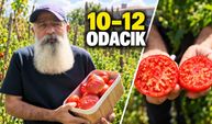 Kaybolmasın diye 20 yıldır ücretsiz tohum dağıtıyor