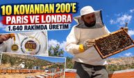 Paris’ten sonra Londra’da da altın: Şırnak balının ödül yolculuğu