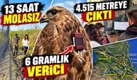 14 ülke geçti, 6 bin 41 kilometre uçtu: Ender'in göçü