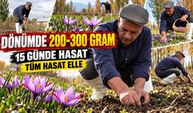 200 metrekareden 2 dönüme: Market işletmeciliğinden safran üretimine