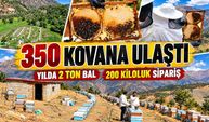 30 kovanla başladı, bugün 350 kovanla yılda 2 ton bal üretiyor