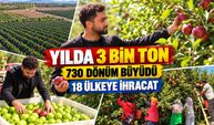 470 dönümden 1200 dönüme: Genç üreticinin büyüme hikâyesi