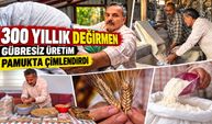53 tohumla başladı, 16 yılda 5 tona ulaştı: Emekli öğretmenin üretim hikâyesi