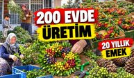 600 bin çelenkle Avrupa'ya açıldılar: Yaklaşık 2 milyon avroluk ihracat