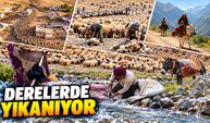 Koyun yününden kilime uzanan zahmetli yolculuk