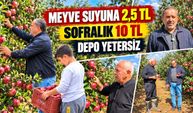 Kurt yok, kara leke yok, rekolte yüksek: Peki üretici neden dertli