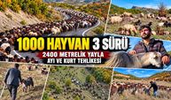 Yağmur altında, dağları aşarak: Üç ailenin bir aylık kışlak yolculuğu
