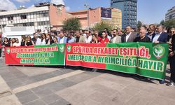 Diyarbakır’daki STK’lardan Dağkapı Meydanı’nda Amedspor Mesajı