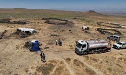 Karacadağ Bölgesi kuraklıktan yakınıyor: Pirinç üretimi yüzde 90 azaldı