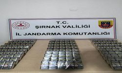 Şırnak'ta kaçakçılık ve asayiş operasyonlarında 98 şüpheli hakkında işlem yapıldı