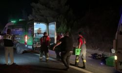 Tarım işçilerini taşıyan minibüsün tıra çarptığı kazada 3 kişi öldü, 16 kişi yaralandı