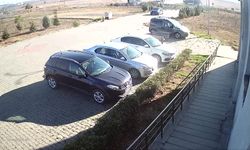 Tırın çarptığı otomobilin sürücüsü öldü