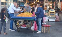 Turistler Diyarbakır’da Sonbaharın Vazgeçilmezi Alıç’a Büyük İlgi Gösterdi