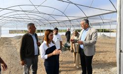 Bismil’de fide yetiştirme serası kuruldu