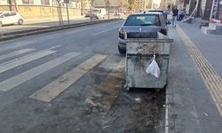 Çöp konteynerleri bakım ve dezenfekte bekliyor