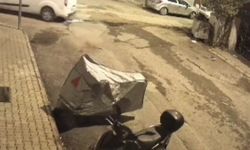 Kedinin üstünden geçen panelvanın sürücüsü gözaltına alındı