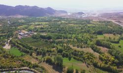 Kars’ın sıfır noktasında 3 çeşit elma üretimi yüz güldürüyor