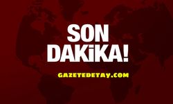 5 yaşındaki Menesa havuzda ölü bulundu