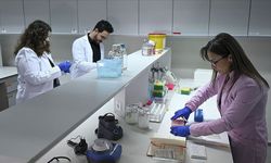Kanser tedavisinde yaz sıcakları için "sıvı kaybı ve güneş hassasiyeti" uyarısı