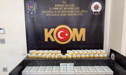 Şırnak'ta kaçak ilaç operasyonunda 2 şüpheli yakalandı