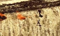 Dicle Elektrik dronları  anız yakanları da tespit etti
