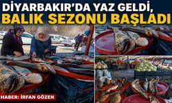 Diyarbakır'da yaz geldi, balık sezonu başladı